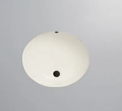 Cheap 🥰 PROFLO® Comstock 17-3/8 x 14-1/2 in. Oval Vitreous China Undermount Bathroom Sink in Biscuit 😍