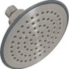 Best Sale ✨ PROFLO® Single Function Showerhead in Brushed Nickel 💯