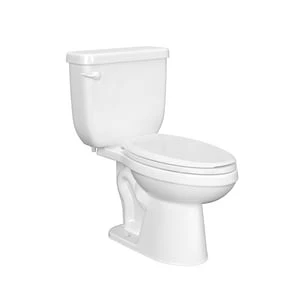 Buy ⭐ PROFLO® Jerritt Series 1.6 gpf Elongated Two Piece Toilet in White with 10 in. Rough-In 💯