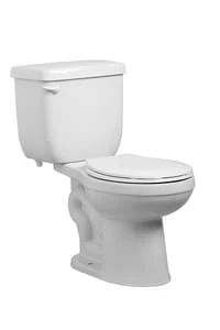 Discount ⭐ PROFLO® Jerritt Series 1.6 gpf Round Front Two Piece Toilet in White with 14 in. Rough-In 🎉