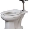 Wholesale ❤️ PROFLO® 17-1/8 in. Elongated Flush Valve Toilet Bowl in White 🎁