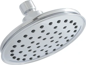 Wholesale 😍 PROFLO® Single Function Rainfall Showerhead in Polished Chrome 🔔