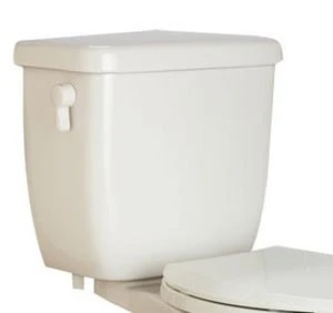 Discount 🥰 PROFLO® Amador 1.6 gpf Dual Flush Toilet Tank in White 🛒