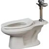 Wholesale ⭐ PROFLO® 14-3/8 in. Elongated Flush Valve Toilet Bowl in White 🧨