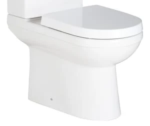 Best reviews of 👏 PROFLO® Pyne 1.28 gpf Elongated ADA Toilet Bowl in White 🧨