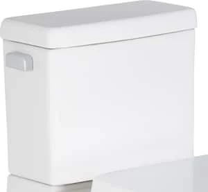 Best reviews of 👏 PROFLO® Pyne 1.28 gpf Elongated ADA Toilet Bowl in White 🧨 - Image 2