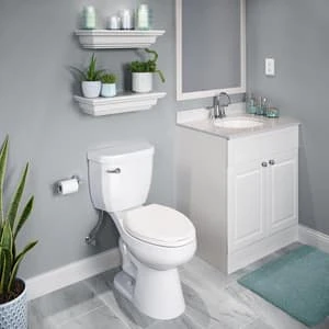 Budget 😍 PROFLO® Orrs Wall Mount Toilet Paper Holder in Polished Chrome ✨ - Image 4