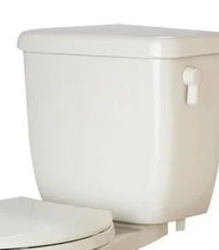 Promo 💯 PROFLO® Amador 1.6 gpf Dual Flush Toilet Tank in White 🔔