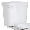 Buy ⭐ PROFLO® Greenlee Series 0.8 gpf 12 in Rough-In Toilet Tank in White ⭐